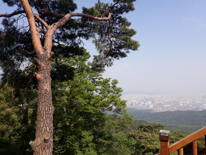 원통사에서 바라본 미세먼지 낀 서울 풍경