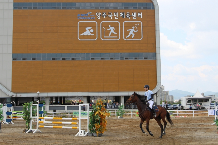 대회 2일차에는 장애물(국산마) 40·60·100cm 경기가 열렸다. ⓒ미디어피아 안치호