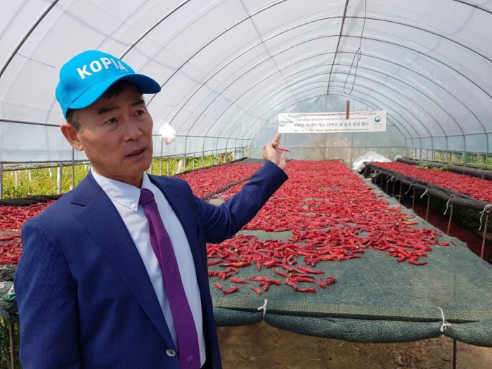 ▲안희성 센터장이 국립타슈켄트 농업대학에 설치한 비닐하우스를 둘러보고 있다. 그는 2014년 우즈베키스탄에 부임해 5년째 고려인들의 농가소득 향상을 돕는 한편 이 나라 농민들에게 한국의 선진 농법을 전수하고 있다. Ⓒ최희영