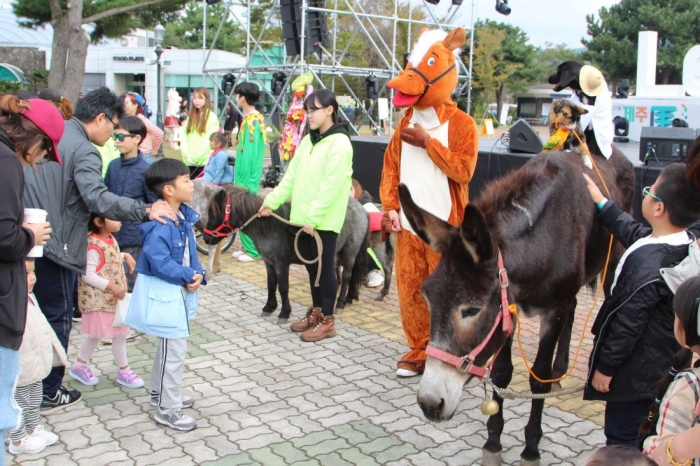 제주특별자치도와 한국마사회는 10월 ‘제주 말(馬) 문화 관광의 달’을 맞아 말 관련 축제를 개최한다. 사진은 지난해 렛츠런파크 제주에서 열린 제주마축제 모습. ⓒ미디어피아 안치호