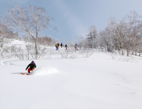 일본 홋카이도 중심에 있는 후라노다케에서 파우더 스키를 즐기는 스키어들. 좋은 파우더눈을 만나기 위해서는 스키를 신고 산을 올라가기도 한다.