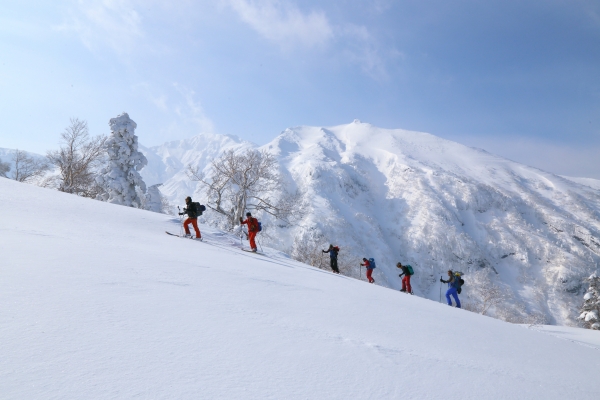 일본 홋카이도 중심에 있는 후라노다케에서 파우더 스키를 즐기는 스키어들. 좋은 파우더눈을 만나기 위해서는 스키를 신고 산을 올라가기도 한다.
