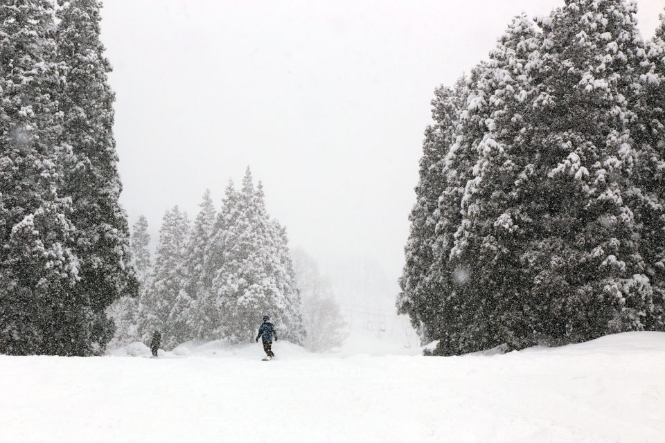 일본 스키의 발상지로 알려진 니가타현의 아카쿠라 칸코 스키장. 묘코 고원에 있는 이 스키장 주변에는 몇개의 스키장이 이웃해 있다.