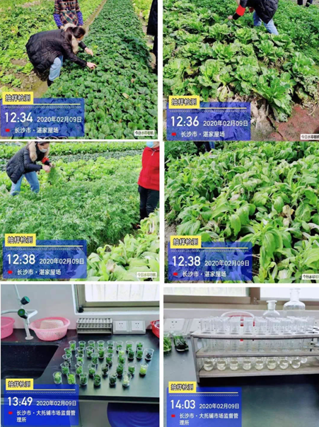 TV화면을 통하여 농장의 모습을 직접 살피면서 고객들은 신선한 야채를 주문할 수 있다. 사진제공=망고TV
