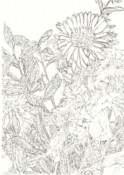 Flower, 12.5x8.5cm, pen on paper, 2021