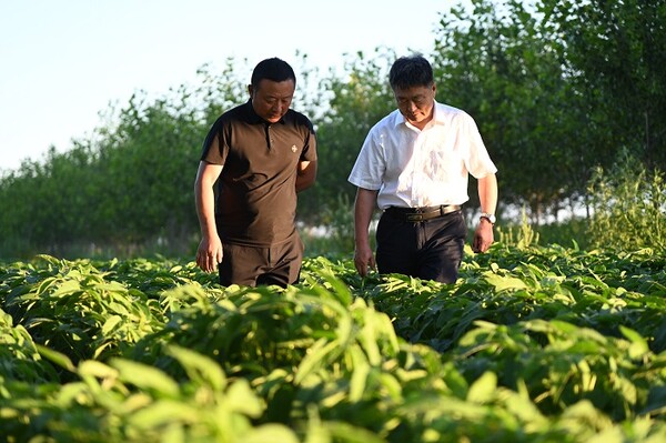 중국 농경지 보호 전문가 한샤오증( 韩晓增, 사진 오른쪽)과 농부 양하이쥔( 杨海津)이 농경지 보호에 대하여 이야기하고 있다. 사진제공=黑龙江日报集团