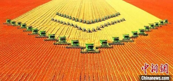 중국 최대의 식량생산기업인 헤이룽장성의 베이다황(北大荒)이 현대화된 장비로 수확하고 있는 모습, 사진제공=黑龙江日报