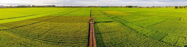 챠오푸다원 현대농업산업원 모습, 사진제공=黑龙江日报
