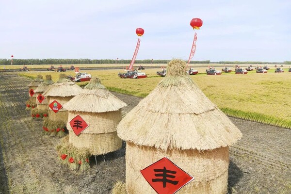 지난 9월 22일 북대황(北大荒)그룹 보양(普陽)농장유한회사에서 농기계가 벼를 수확하고 있다. 사진제공=신화통신