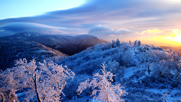 눈 덮인 하얼빈의 봉황산국가삼림공원(凤凰山国家森林公园), 사진제공=黑龙江日报
