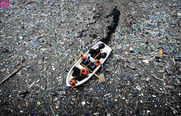 플라스틱이 만들어낸 태평양의 거대 쓰레기 섬 GPGP(Great Pacific Garbage Patch) - DAL&MIKE