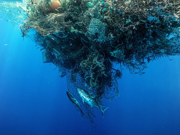Abandoned fishing nets are the main source of plastic pollution in the Pacific Ocean.JACKSON MCMULDREN / OCEAN VOYAGES INSTITUTEBy Kyla Mandel, Sep 5, 2020, HUFFPOST