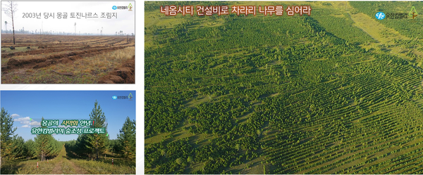 유한킴벌리에 의한 15년간 숲조성 프로젝트를 실행한 후 변화된 모습