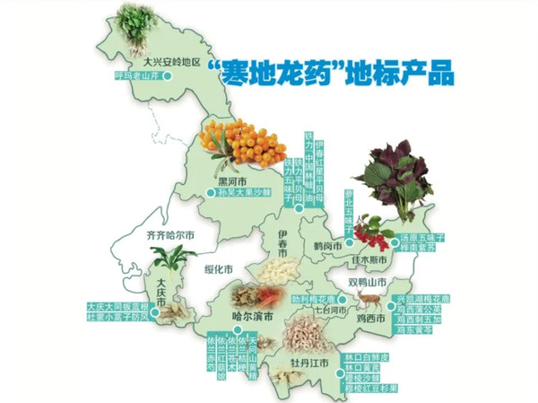 중국 전역에서 약효가 인정된 지시표시제품지도, 사진제공=黑龙江日报
