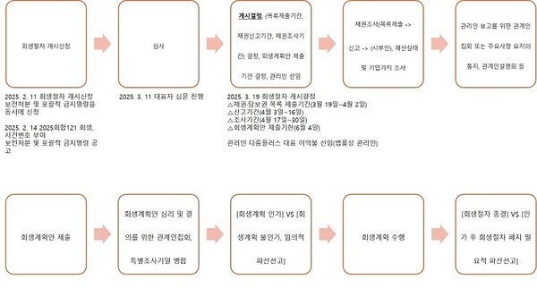 기업회생의 단계별 진행 절차와 과정을 나타낸 자료, 다름플러스의 경우 현재 개시결정 단계까지 정리된 상태이다. 자료제공=현대회계법인 유창우 회계사 및 한류TV서울 자료 편집
