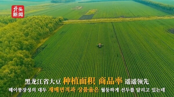 흑룡강성(헤이룽장성)은 중국 최대의 대두(大豆) 생산지로, '중국의 대두 보고'라고 불릴 정도로 대두 산업의 중심지이다. 이 시장에 대두 70%, 커피 30%를 배합해 커피의 풍미를 구현하는 기술을 기반으로 탄생한 한국의 아로소이(Arosoy) 커피 제조 기술이 결합되면 한중 양국의 새로운 시장이 만들어질 것이다. 사진은 중국 헤이룽장성 대두 생산기지를 소개하는 영상물의 화면캡쳐이다. 이미지출처=윤교원의 차이니하오TV